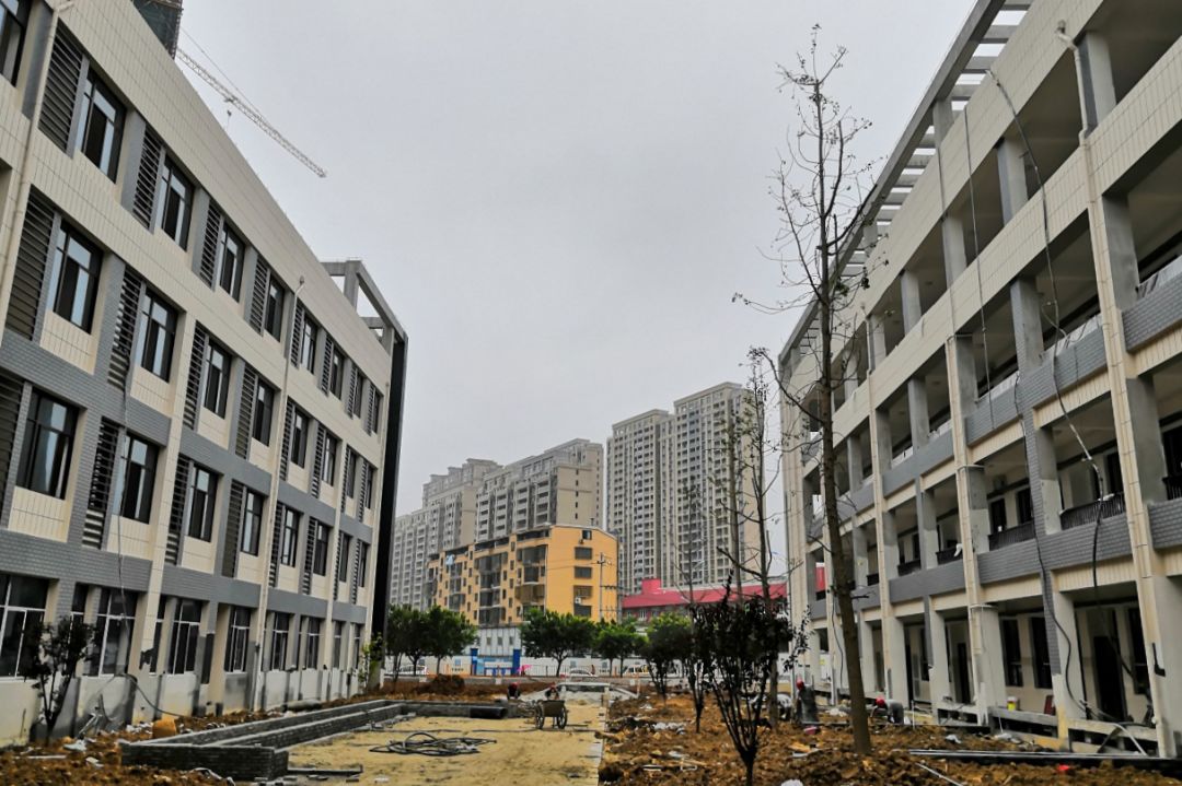 苍南县外国语学校小学部即将竣工 九月开学迎接新生