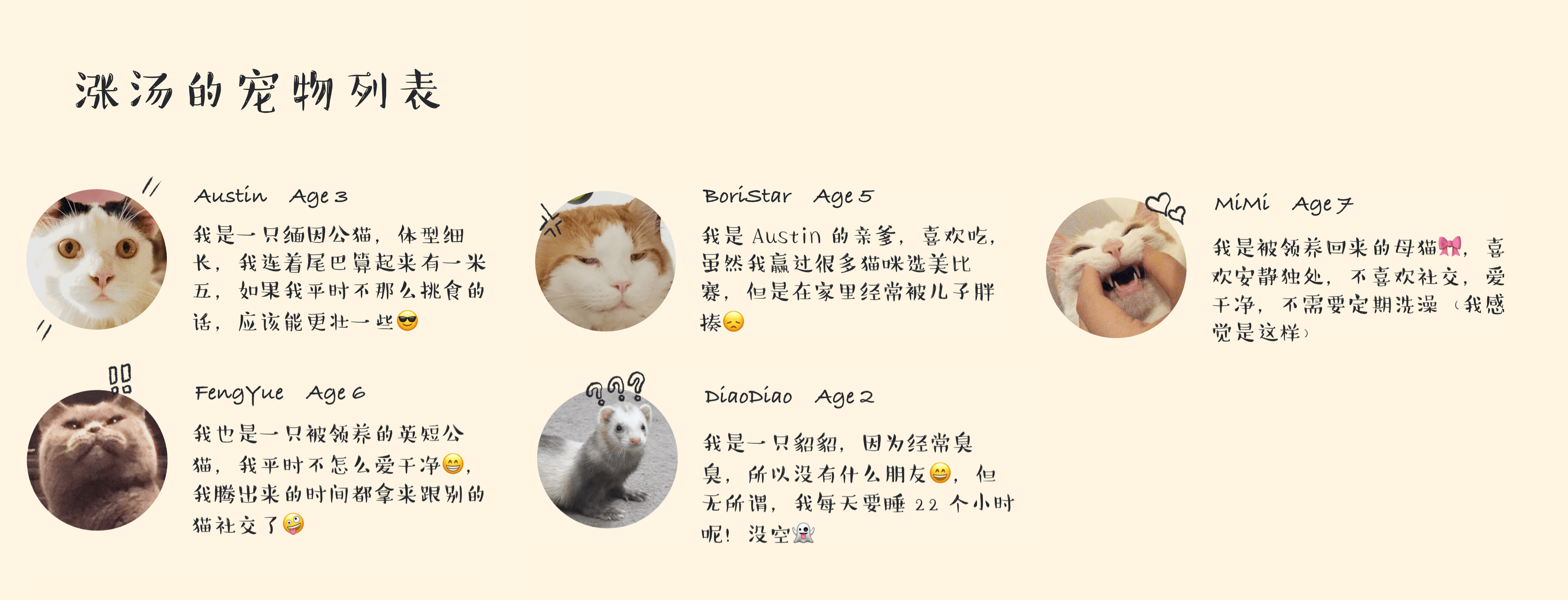 写给养猫新手的入门指南 宝盈娱乐bbin