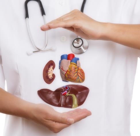 怎么护肝脏 a7e309ebc30b40c5bf6293d7de8cd2e2.jpeg