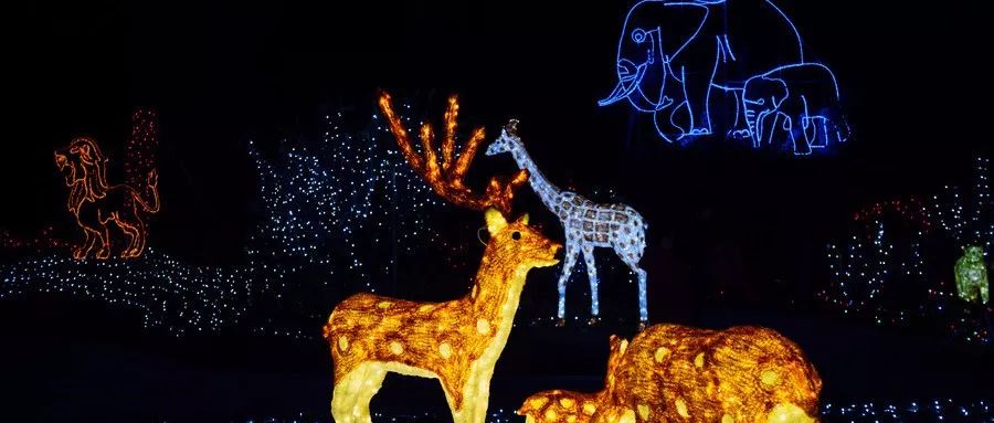 【资讯】预见未来：解码2019年旅游科技(图9)