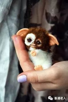 小鸭子猜成语_看图猜成语(2)