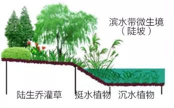 生态修复环境技术方案_生态修复环境技术有哪些_生态环境修复技术