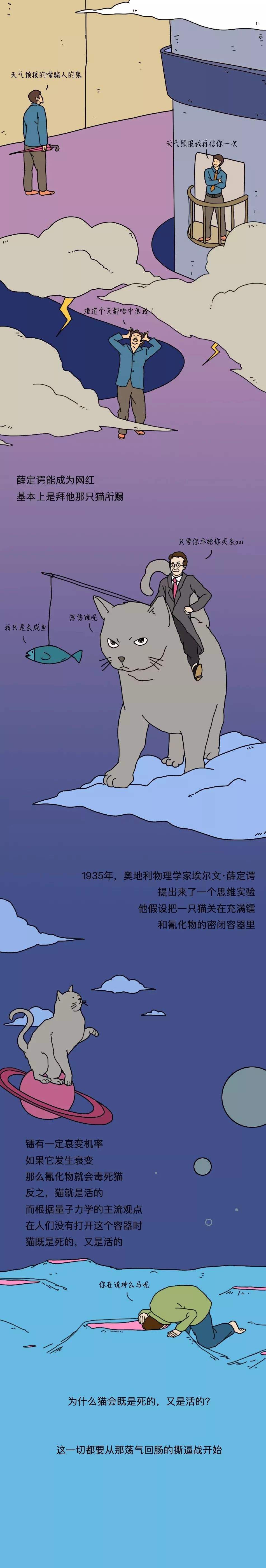 薛定谔的猫为什么既是活的又是死的?