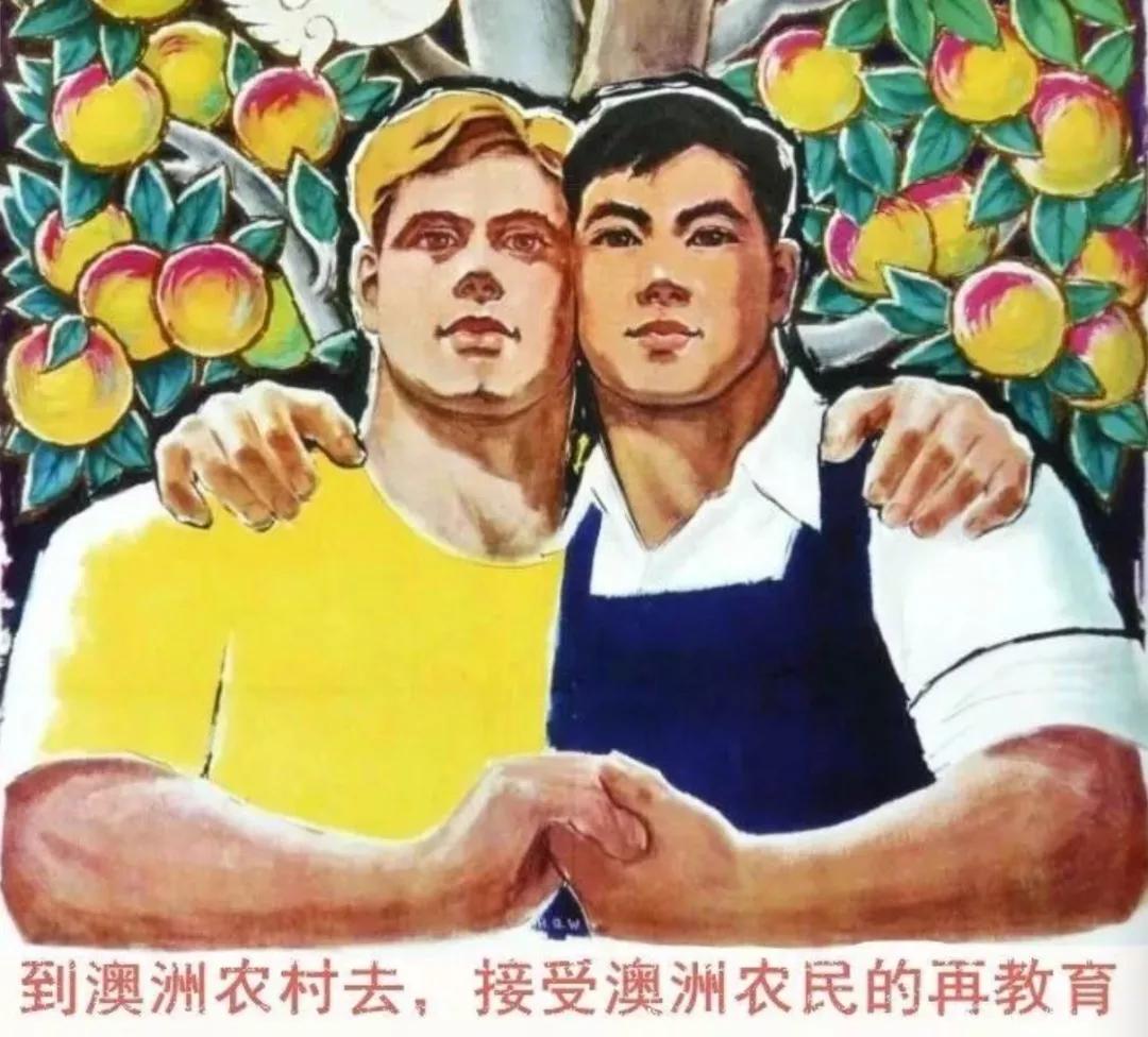 文章配图