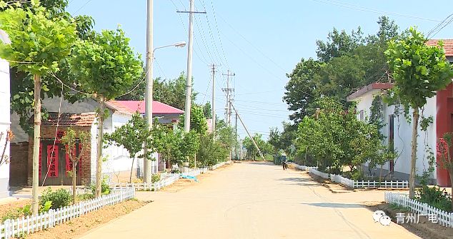 李仙村党支部书记 杨小锋"准备制订一个长效保持的方案,就是说每年