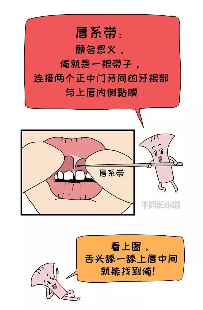                     嘴巴里这两根带子了解下，关乎孩子颜值、出牙、说话……