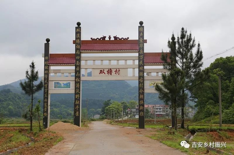 7月2日,记者再次走进吉水县丁江镇双橹村,登上龙华山,双橹村尽收眼底