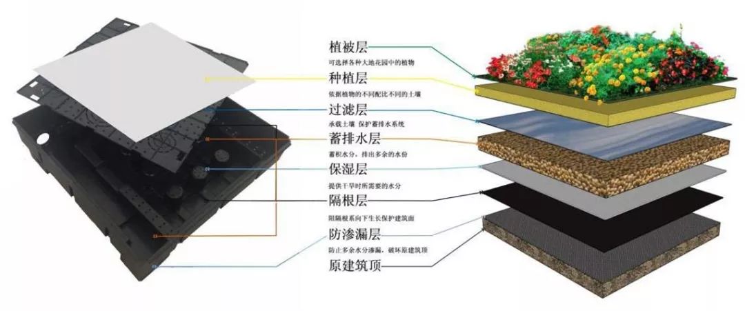 技术贴什么样的屋顶绿化方案才能博得甲方爸爸的芳心