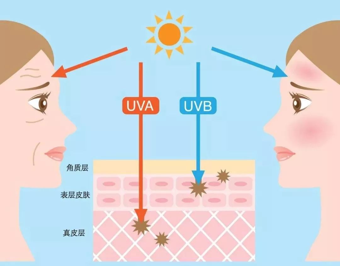 何为适度人口_人口老龄化(2)