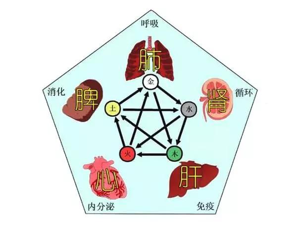 什么腑成语_成语故事图片(3)