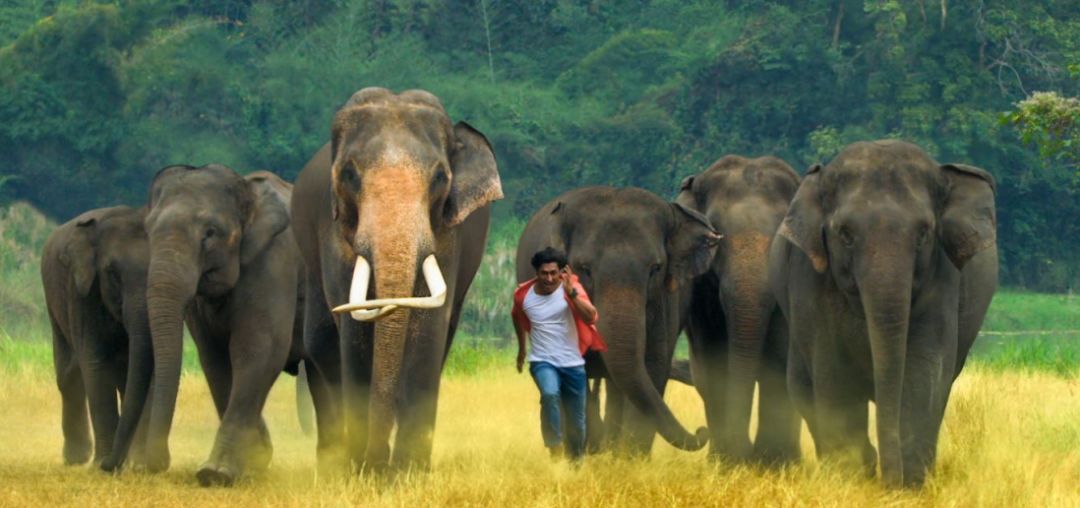 速度转发起来!一元看遍成龙电影周所有电影!