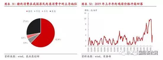 文章配图-20