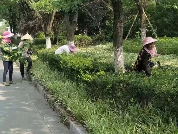 cec19b015a1f4888879762479581c518.jpeg