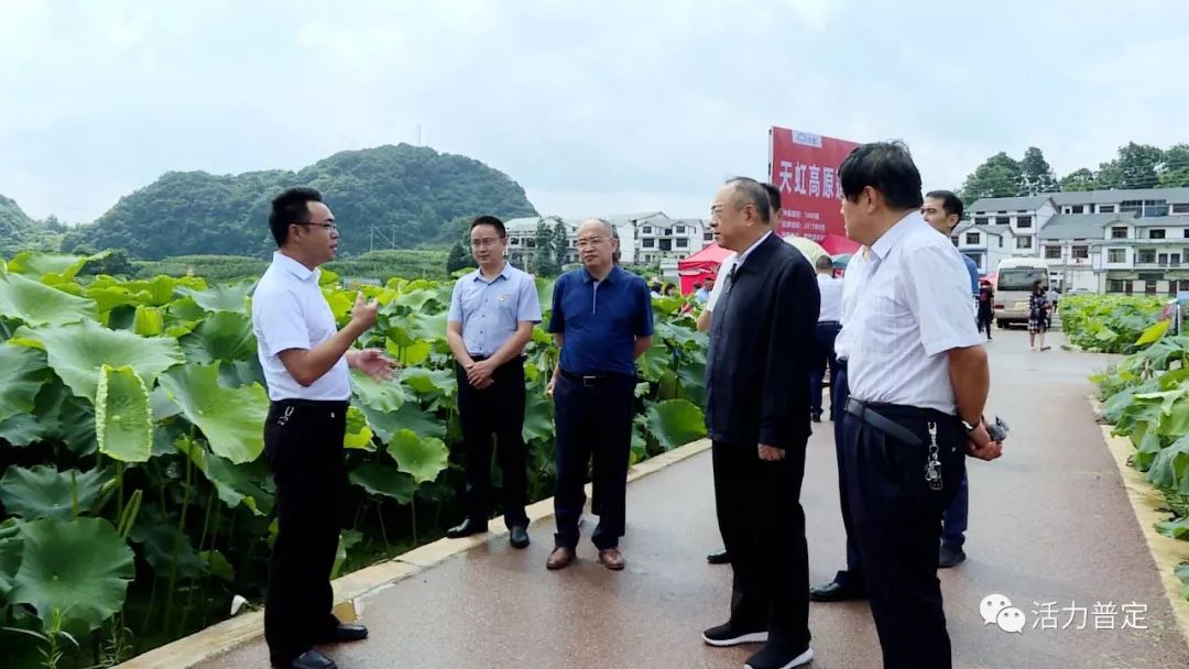 省人大常委会调研组到普定县调研