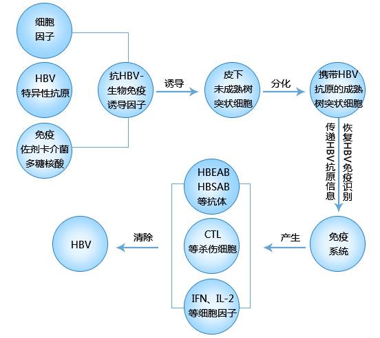 肝功能gdp_复查过肝功能的进来看一下 国内航空 kongjie.com(2)