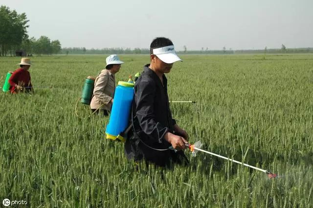 什么时候打农药效果好 eb2598698a7348d1badfc0f0391e2519.jpeg