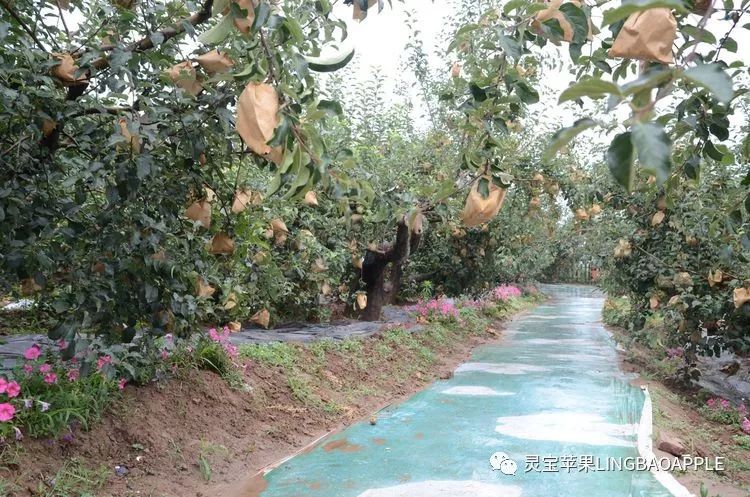 寺河乡人口_寺河乡实验学校图片