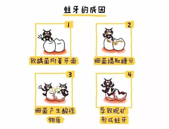                     别忽视宝宝的牙齿清洁