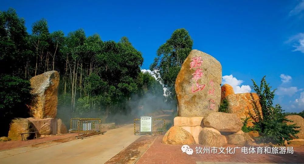 灵山县积极推进灵东农庄,烟霞山风景区,陆屋桂味园建设积极指导寨圩