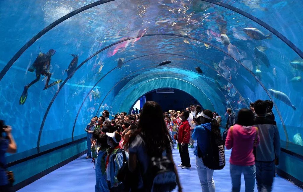 海洋大世界攻略 058e260a21f44ed29c3cccc44d061f73.jpeg