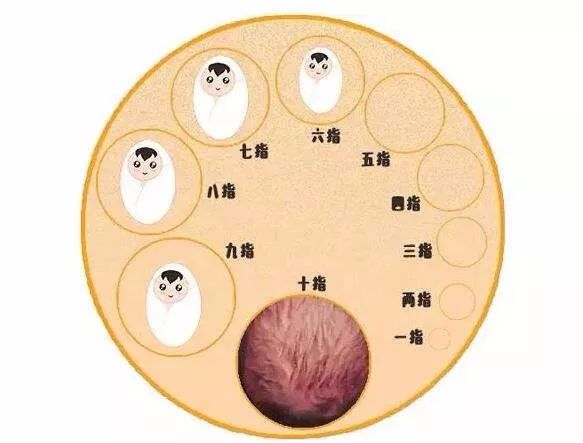 正常大小的胎儿通过,也就是直径为10厘米为止,这个过程称为"开宫口"