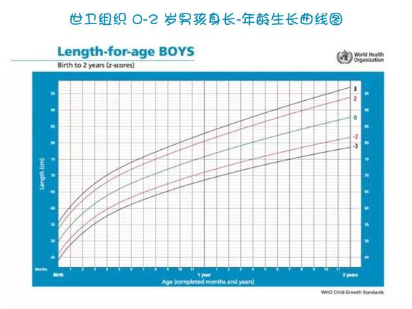                     宝宝发育好不好 生长曲线拥有强大“话语权”