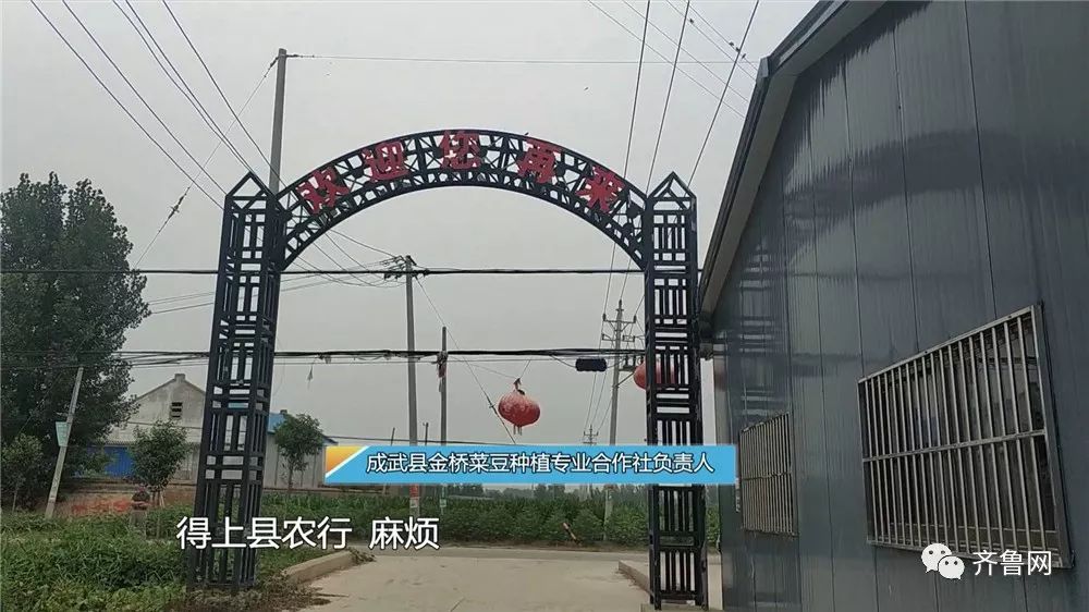 担保公司跑路怎么办