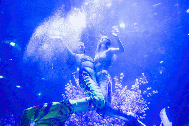 这个音乐节竟然在海底!门票低