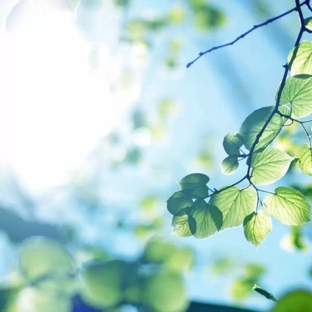 风景头像 微信图片 2ad78b4eae9d4264b85d73f377ddddf9.jpeg