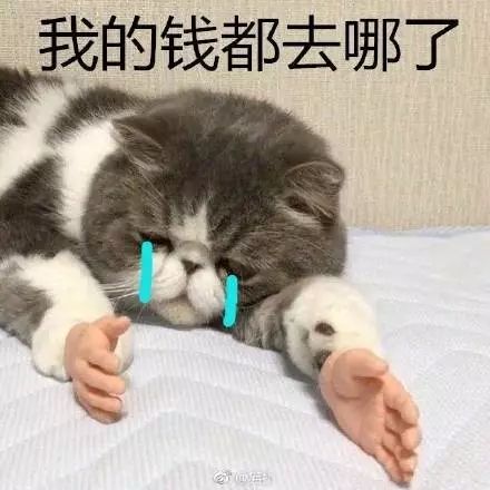 2ce961394c254da48954c307a9af40a8.jpeg