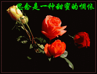 我心里只有你简谱_在我的心里只有你简谱(2)