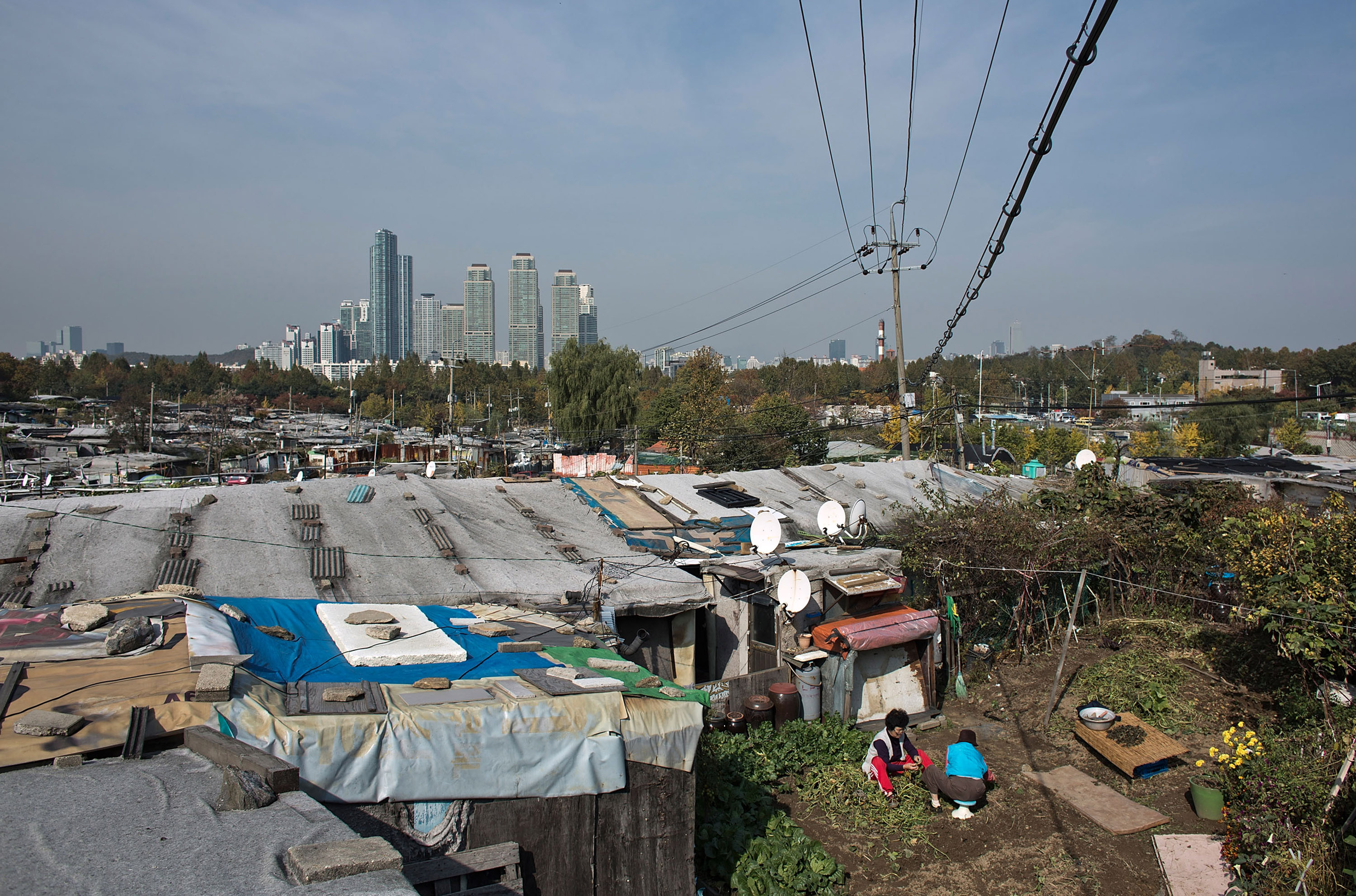 直戳贫富差距,韩国《寄生虫》卖到两百多国家是有道理的