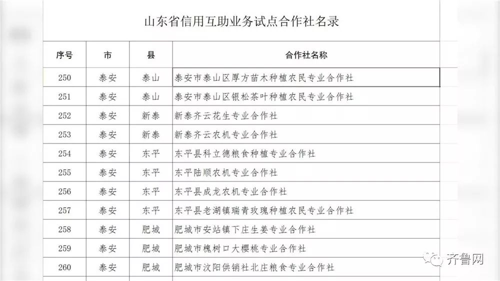 担保公司跑路怎么办