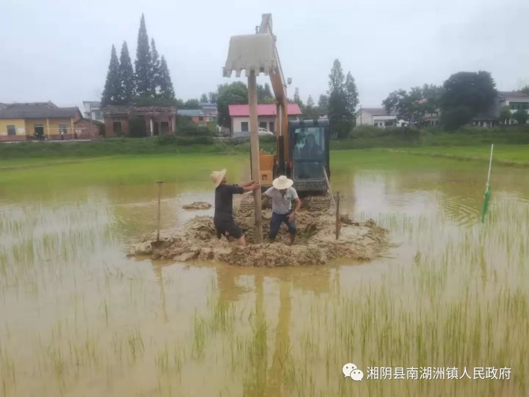 南湖洲镇防汛抗灾进行中