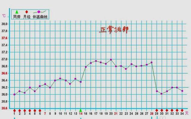                     原创            备孕时，若女性出现了这3个感觉，可能是在提示你要排卵了