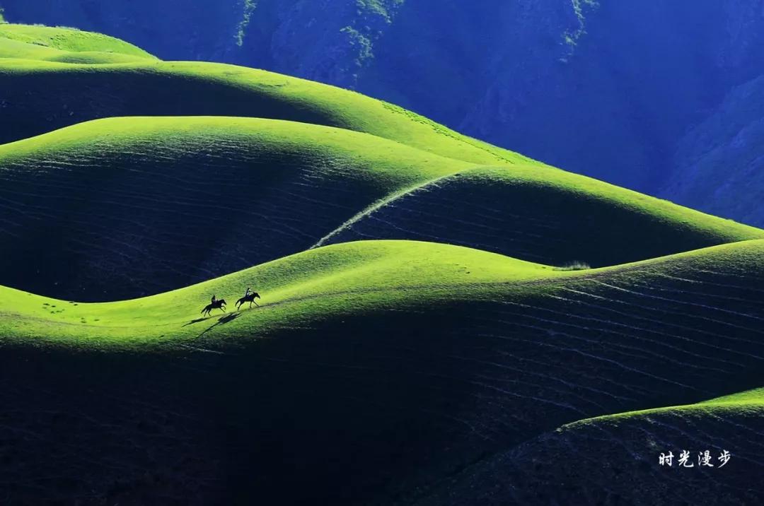 新疆最著名草原之一 喀拉峻草原位于新疆伊犁特克斯县境内,是西天山