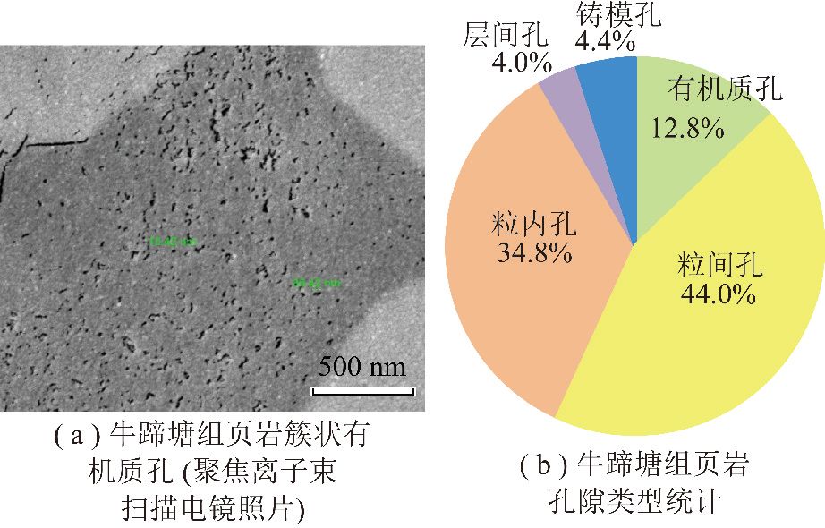 渝东南地区牛蹄塘组页岩孔隙结构特征渝东南地区五峰组—龙马溪组页岩