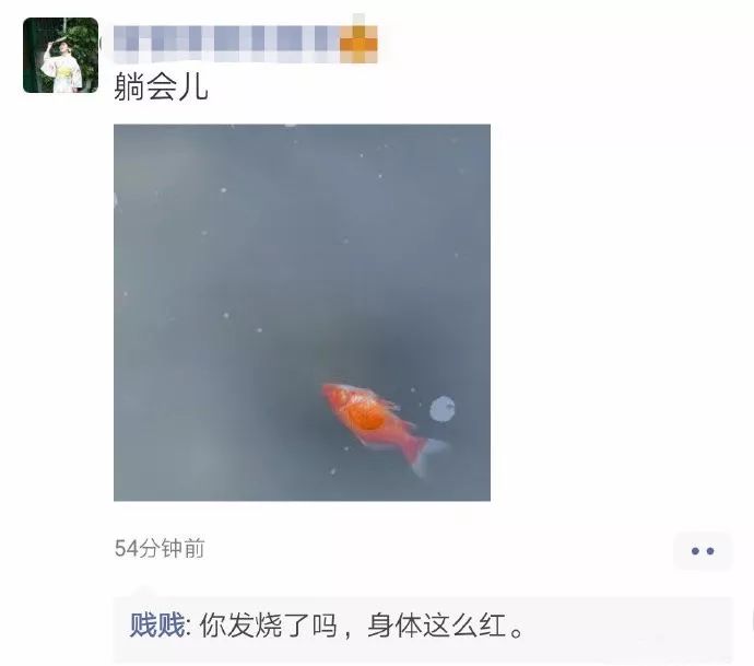 你朋友圈的贱人一般都喜欢留什么言?