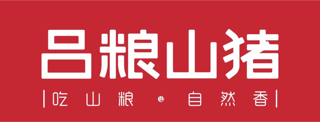 不到一年从初创企业到标杆品牌吕粮山猪是如何做到的