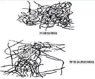 怎么处理?_棉纤维
