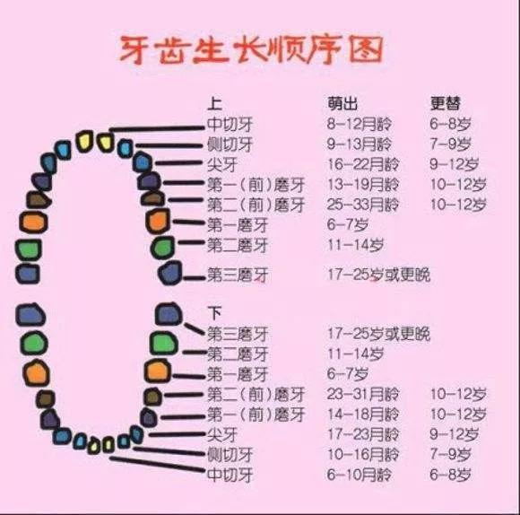 儿牙 听别个说: 小孩牙齿坏了不用补,牙齿还能换新的 同时还要分清