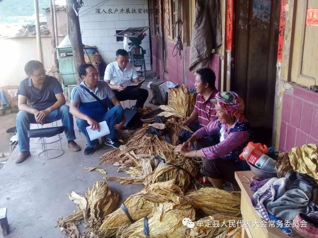 牟定县有多少人口_牟定所有人 家门口就能买到楚雄好车 好房,不信你来看(2)