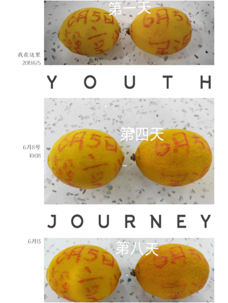 如何长期储存柠檬 898185553e994d40be9eae54fc555c80.jpeg