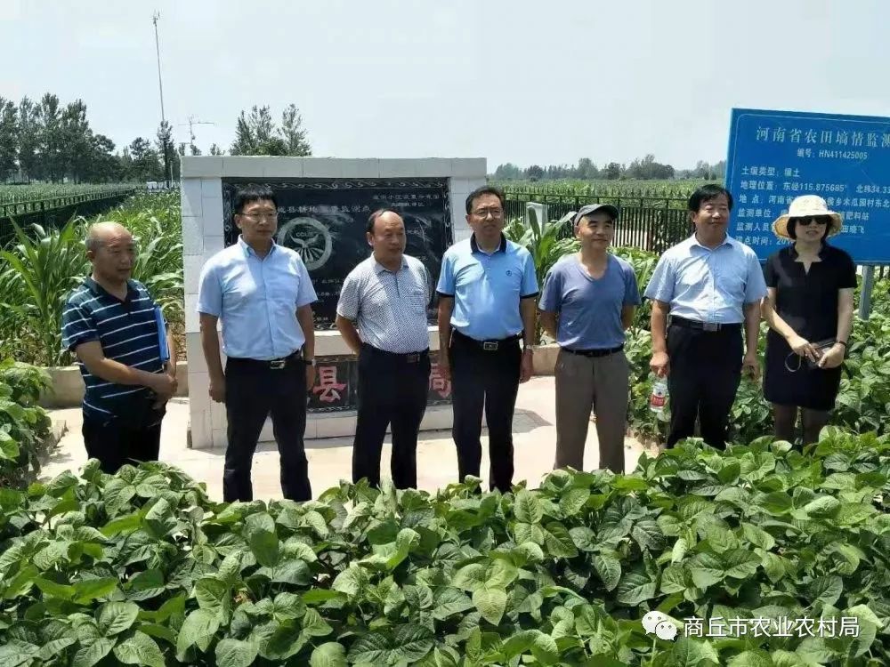 农业农村部耕地质量监测保护中心信息平台处处长陈守伦到我市调研耕地