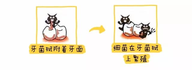                     别忽视宝宝的牙齿清洁