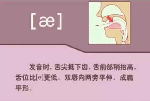 48个英语国际音标发音(附详细图解+视频),资料