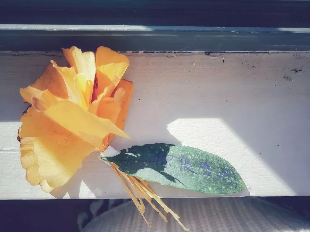 叫你生儿砸,扎心了吧!哈哈哈哈哈哈哈哈哈