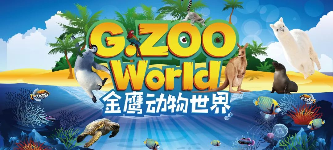 南京超大室内动物海洋主题乐园,金鹰动物世界7月20日盛大开业