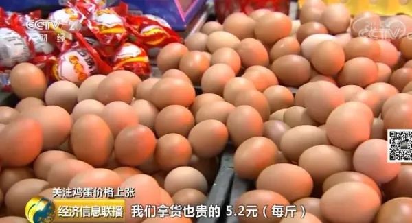 鸡蛋价格在一年中最贵是几月份 a4c59a520a8f4775b9592b0a19ed356b.jpeg