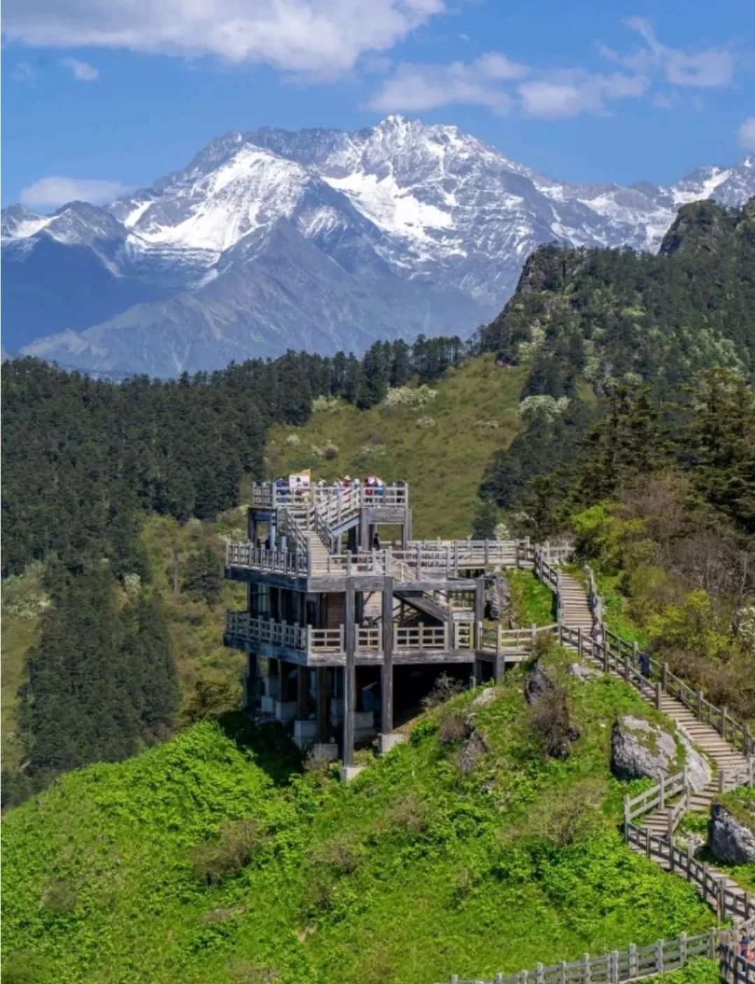 西岭雪山大家一般都是冬天去赏雪景,滑雪~其实 夏天的西岭雪山也很